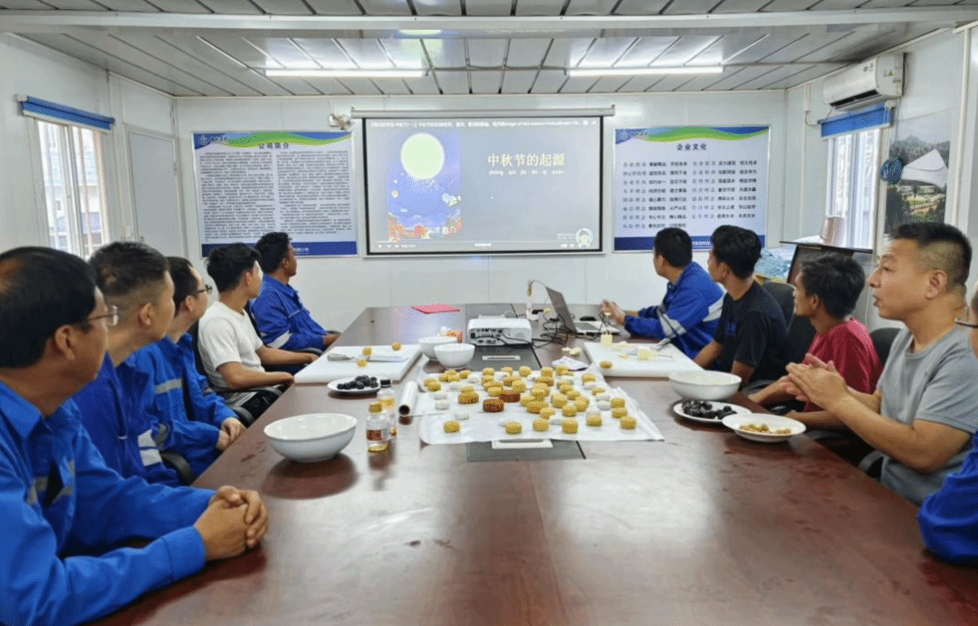 香港马料内部资料大全