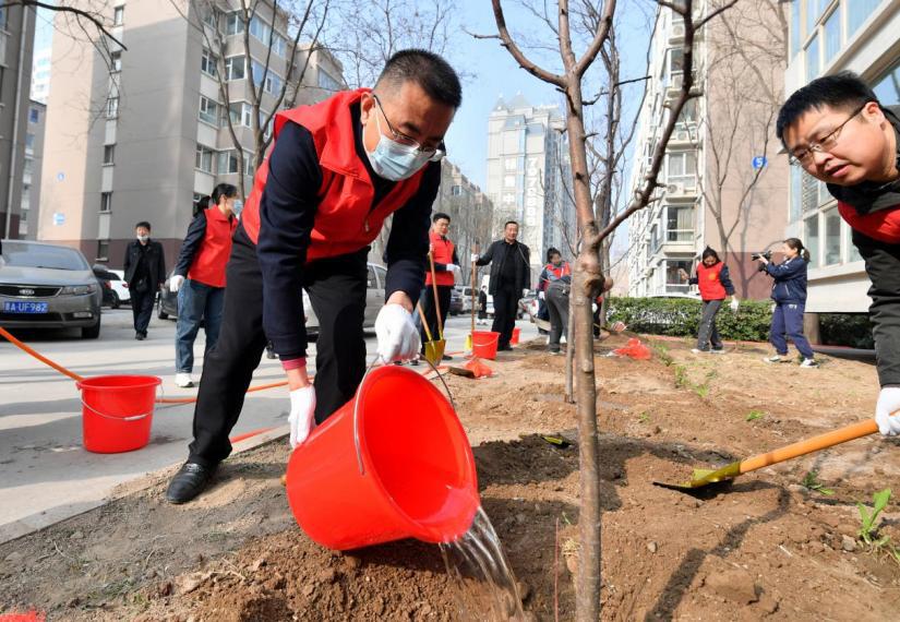 山西建投四建集团开展义务植树活动